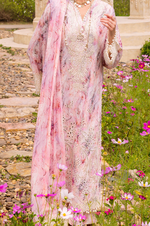 Shaista Muscari C/Kari Lawn`26 D#31