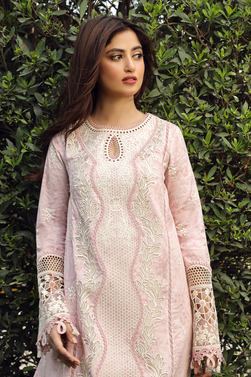 Qalamkar Festive Lawn'24 PS#09
