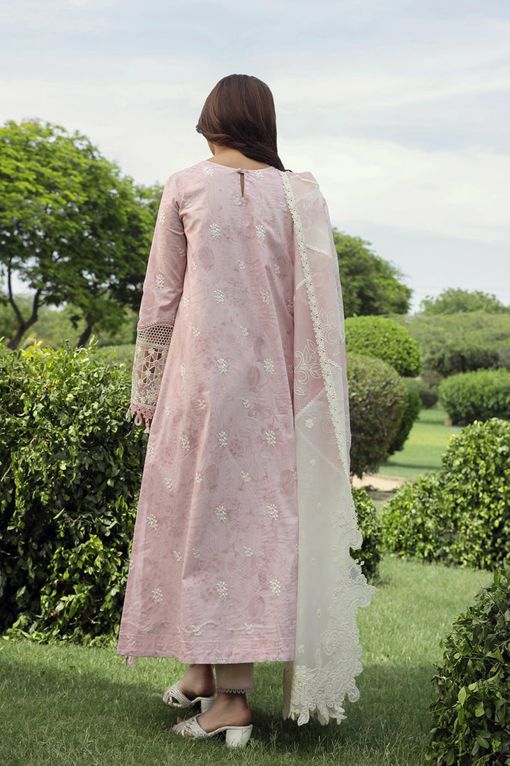 Qalamkar Festive Lawn'24 PS#09