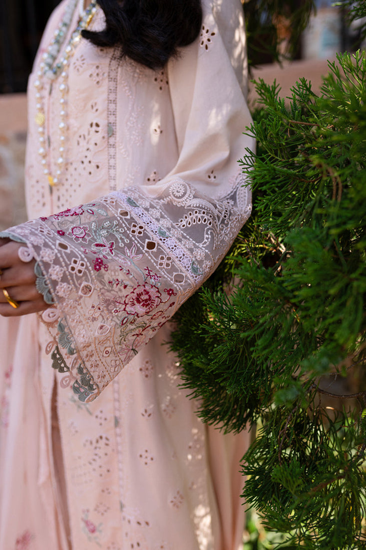 Qalamkar Qline Summer Collection`25 QM#14