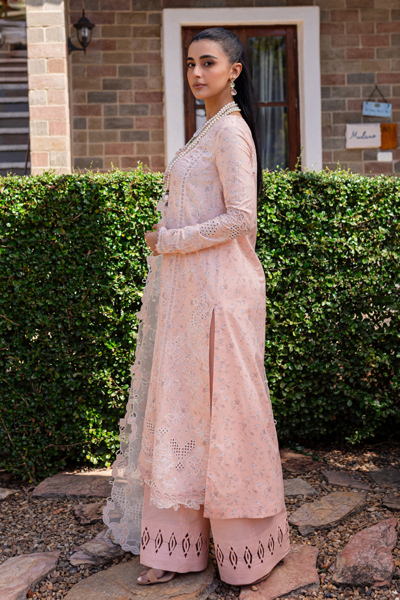 Qalamkar Qline Summer Collection`25 QM#12