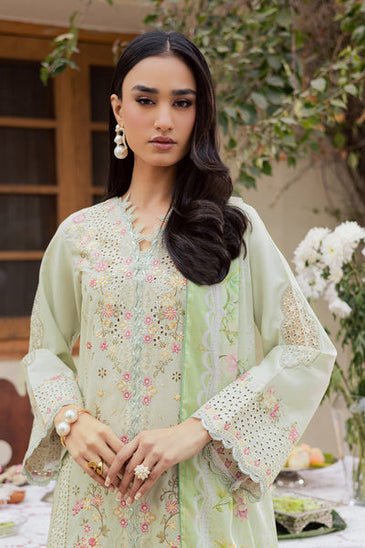 Raj Bari selene Festive Lawn'26 D#10