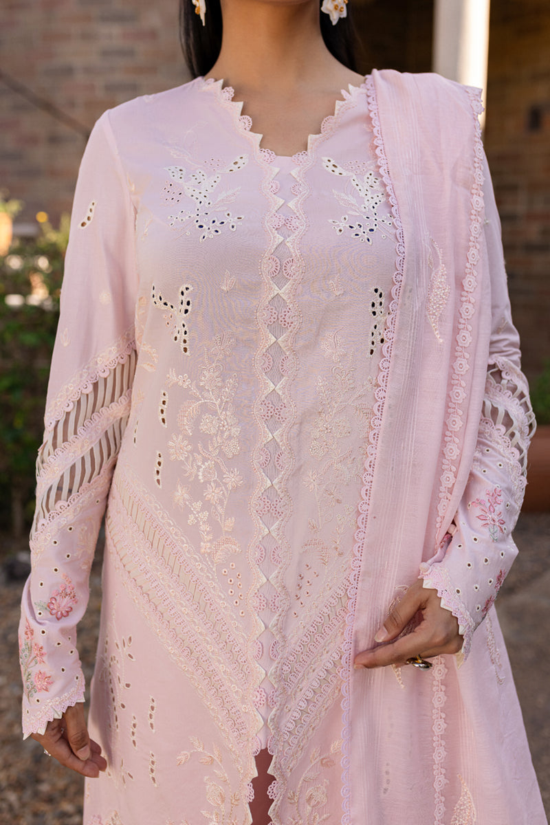 Qalamkar Qline Summer Collection`25 QM#03