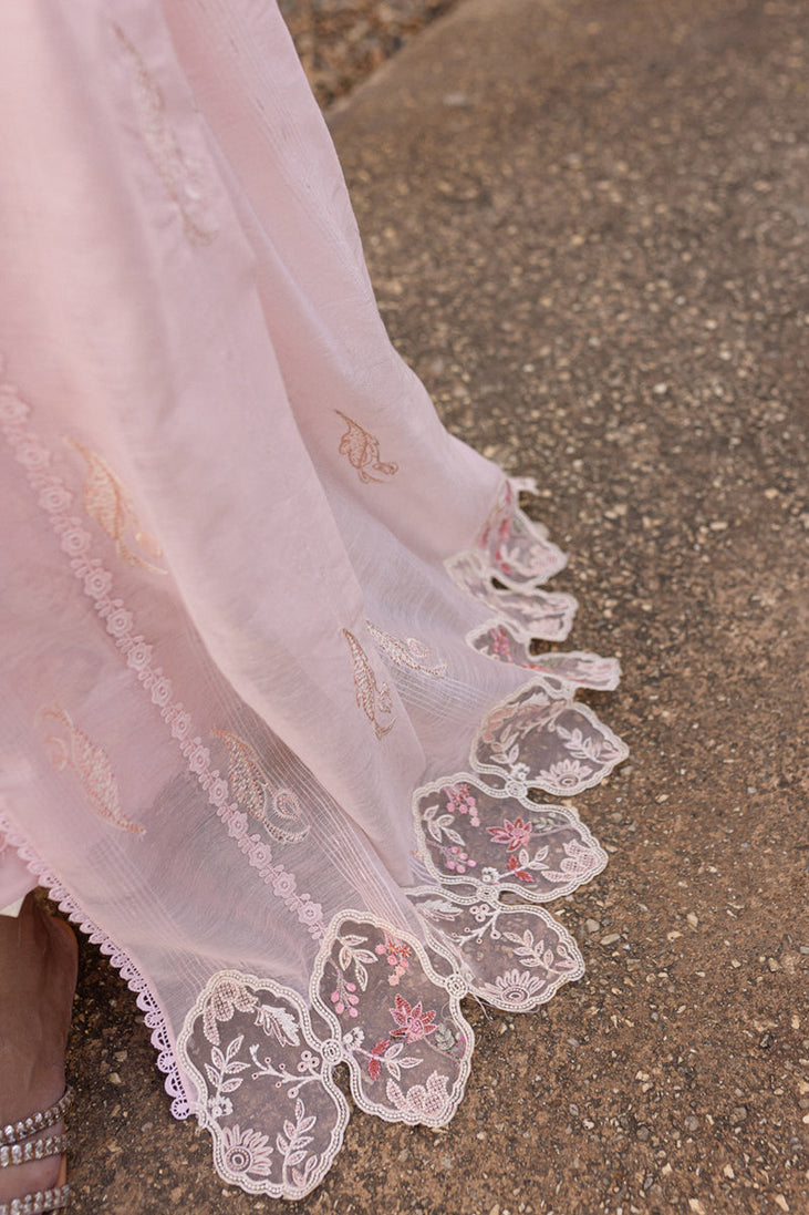 Qalamkar Qline Summer Collection`25 QM#03