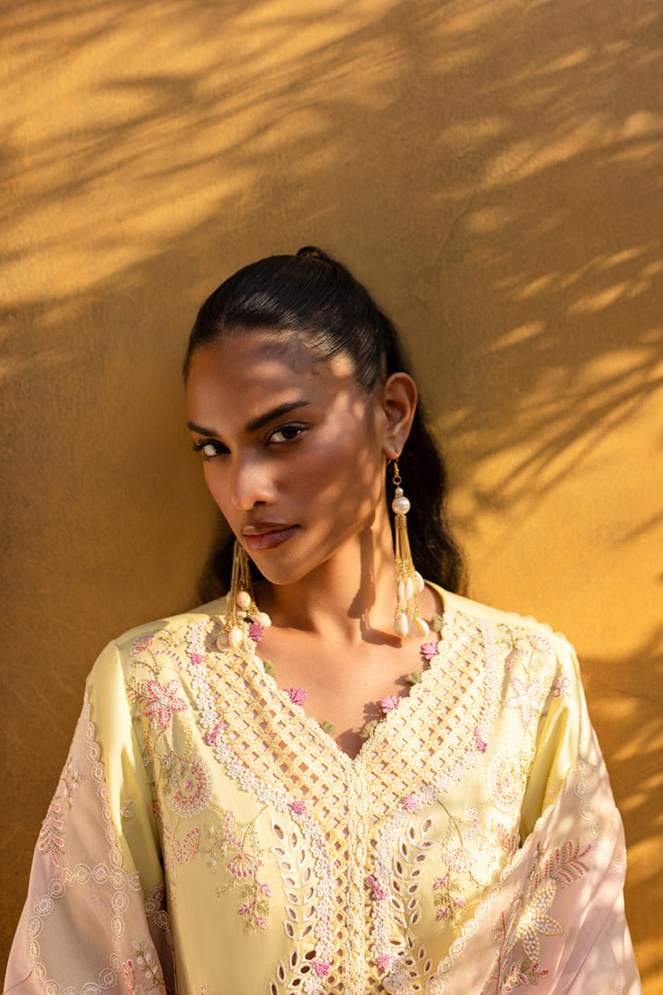 Qalamkar Qline Summer Collection`25 QM#11