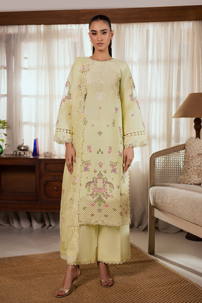Raj Bari selene Festive Lawn'26 D#11