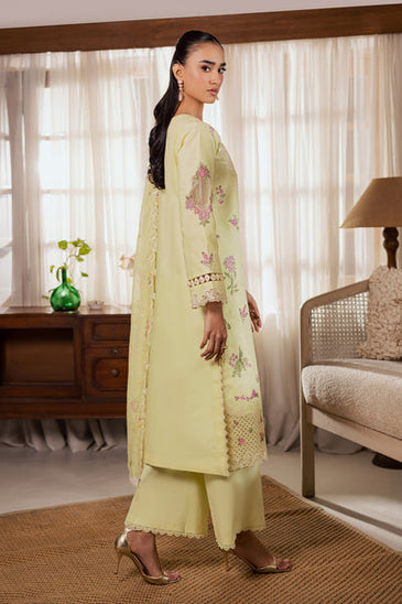 Raj Bari selene Festive Lawn'26 D#11