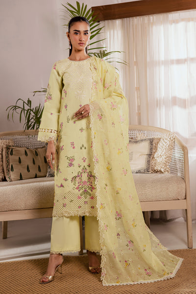 Raj Bari selene Festive Lawn'26 D#11
