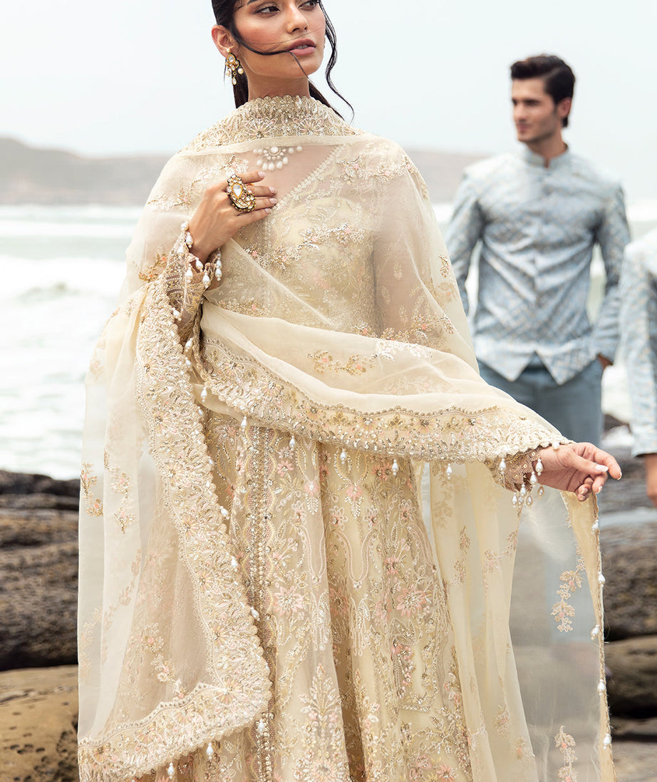 Afrozeh DastanGoi Organza`24 AWE#06