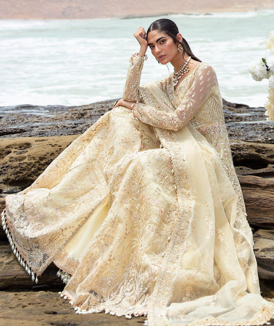 Afrozeh DastanGoi Organza`24 AWE#06