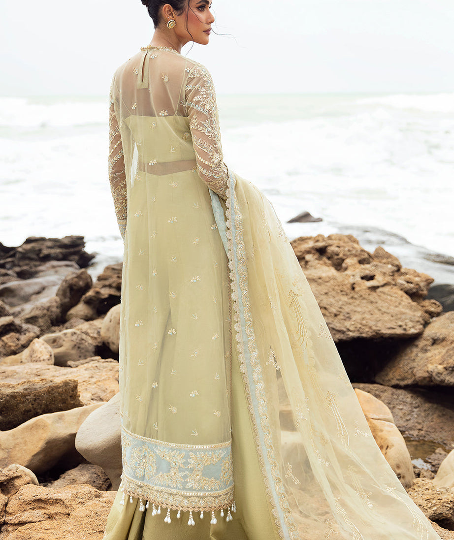 Afrozeh DastanGoi Organza`24 AWE#09