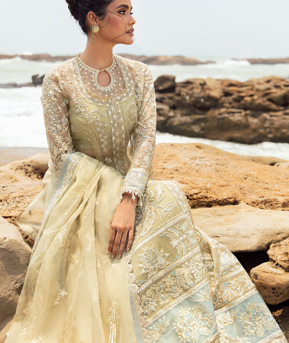 Afrozeh DastanGoi Organza`24 AWE#09