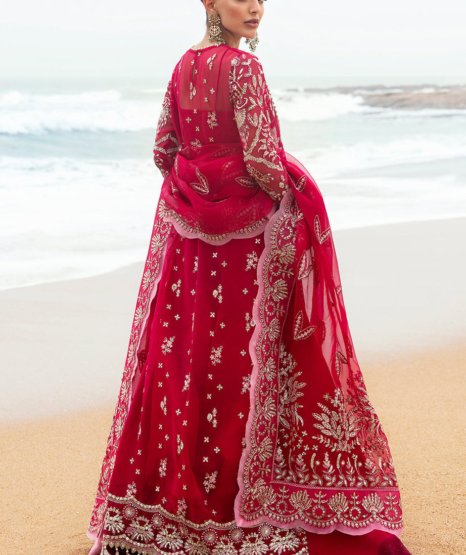 Afrozeh DastanGoi Organza`24 AWE#04