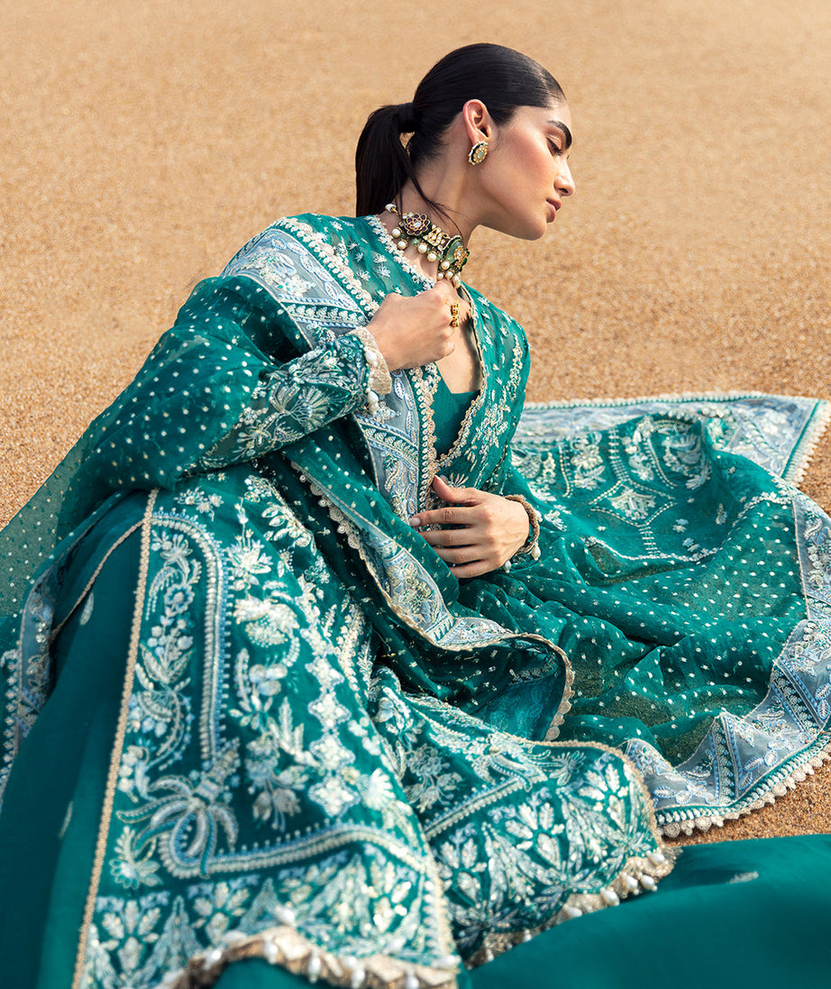 Afrozeh DastanGoi Organza`24 AWE#02