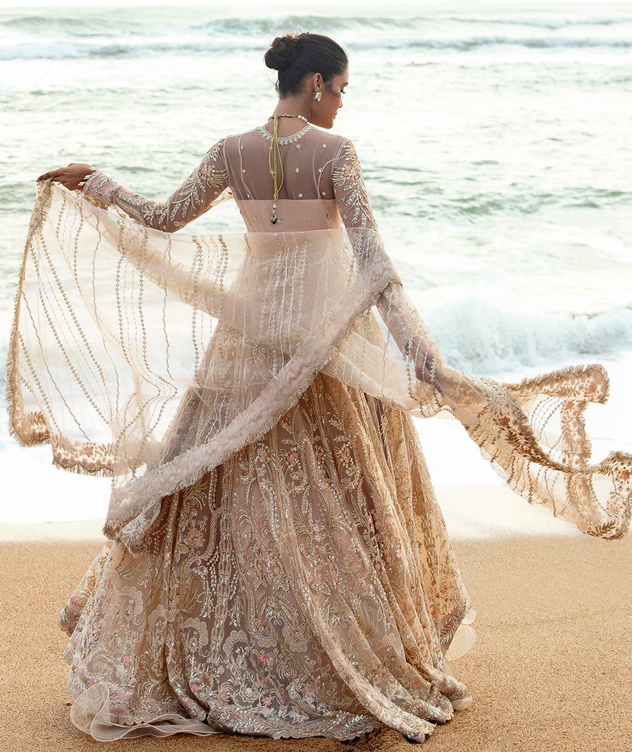 Afrozeh DastanGoi Organza`24 AWE#07