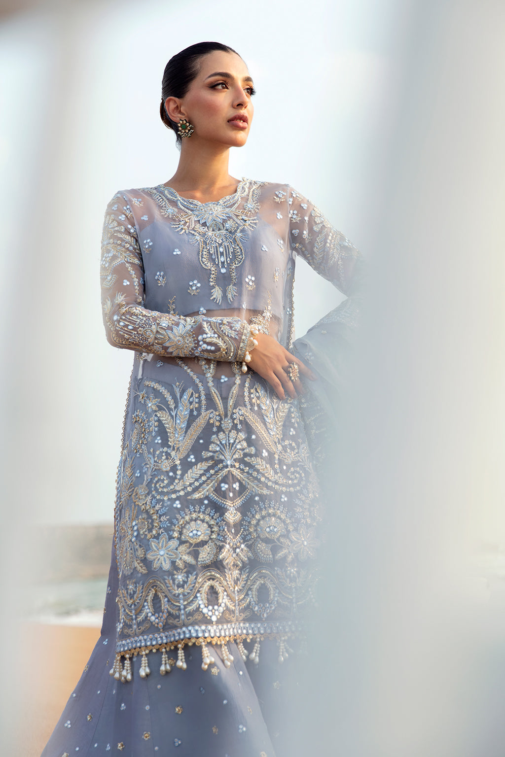Afrozeh DastanGoi Organza`24 AWE#01