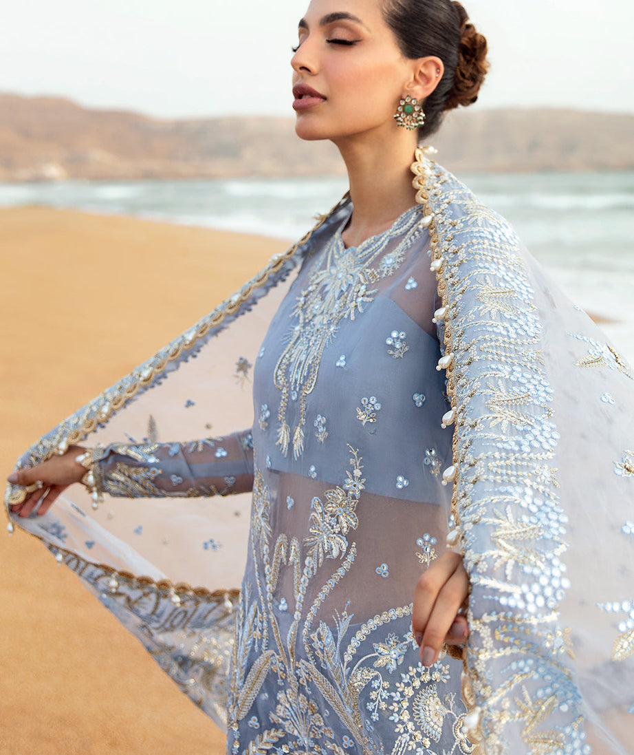 Afrozeh DastanGoi Organza`24 AWE#01