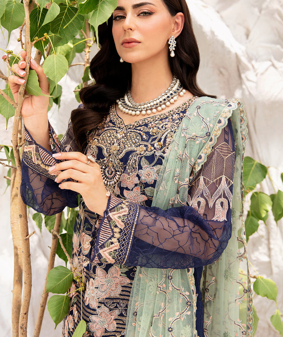 Ramsha Minhal Organza`23 Vol-9 M#902