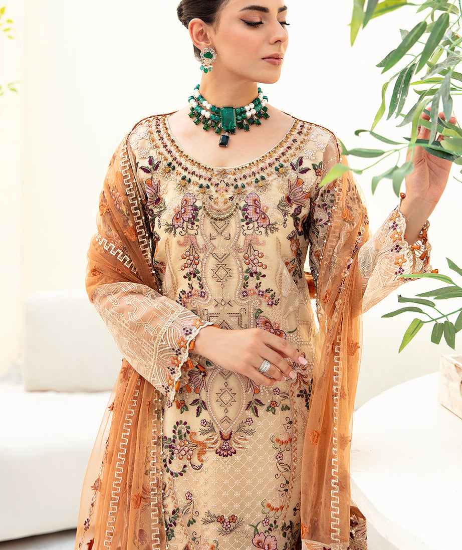 Ramsha Minhal Organza`23 Vol-9 M#901