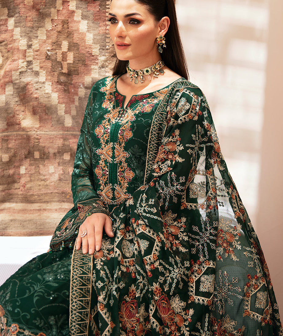 Ramsha Kashish W/Chiffon'24 Vol-2 K#207