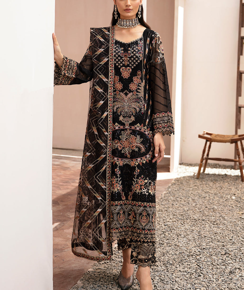 Ramsha Kashish W/Chiffon'24 Vol-2 K#205