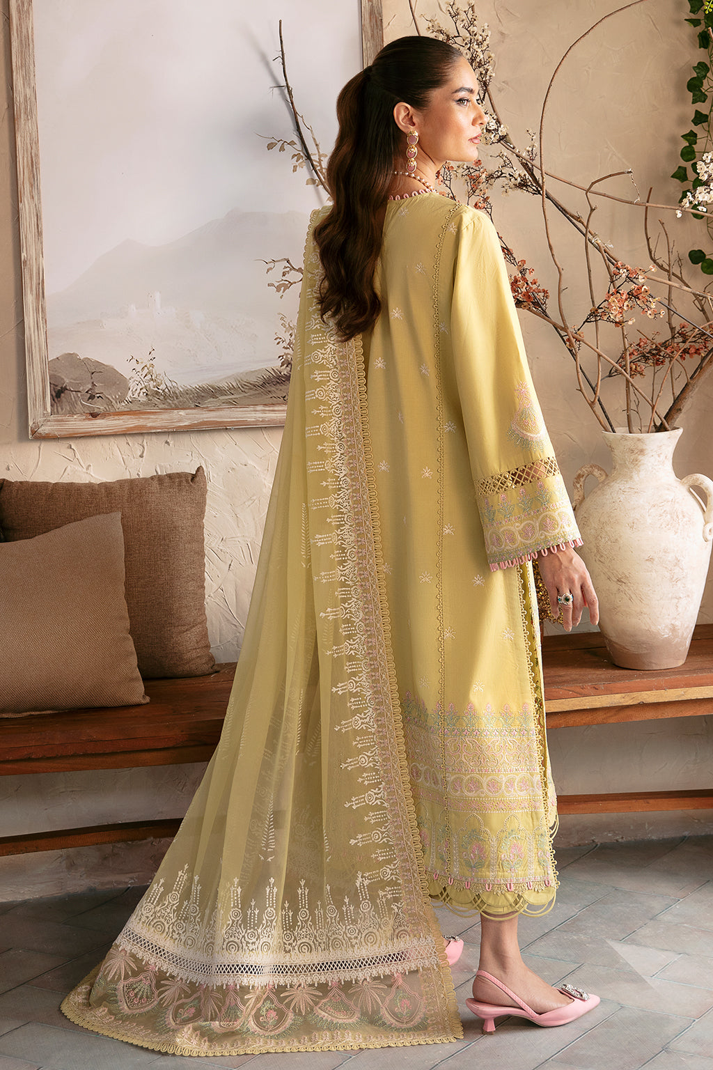 Afrozeh Cascade L/Lawn`24 D#02