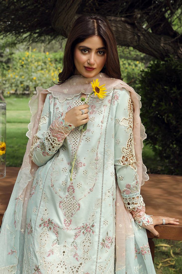 Qalamkar Festive Lawn'24 PS#01