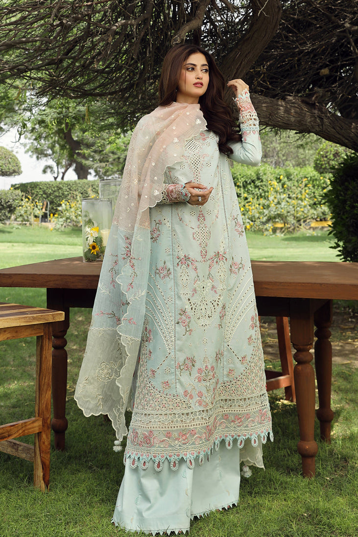 Qalamkar Festive Lawn'24 PS#01