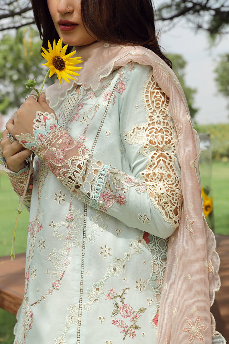 Qalamkar Festive Lawn'24 PS#01