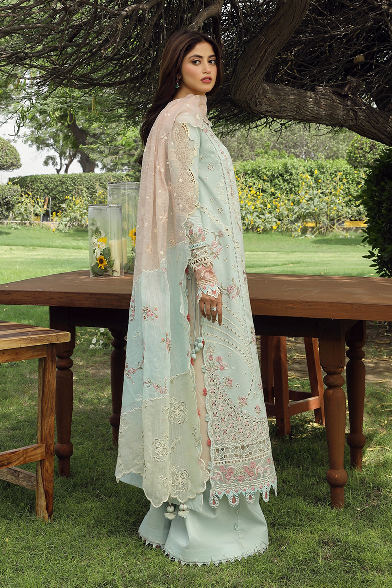 Qalamkar Festive Lawn'24 PS#01