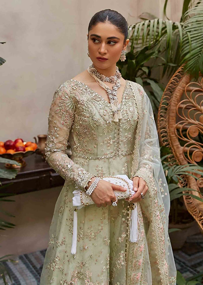 Suffuse Freeshia Festive Collection'22 JADE DOE