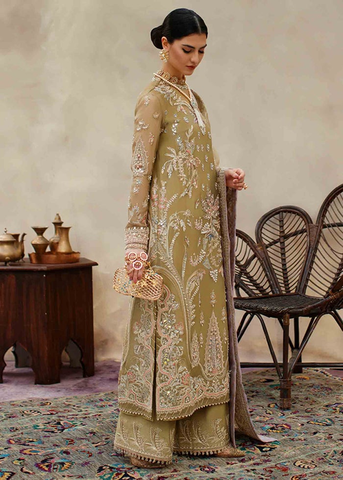Suffuse Freeshia Festive Collection'22 HAZEL