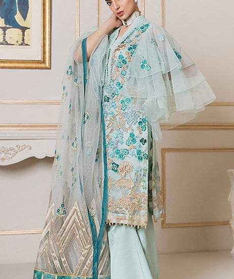 Asifa & Nabeel Festive Collection`20 D#1Q