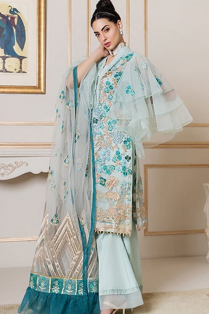 Asifa & Nabeel Festive Collection`20 D#1Q