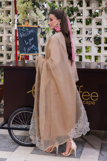 Rang Rasiya Carnation Luxury Festive Edit`25 D#13