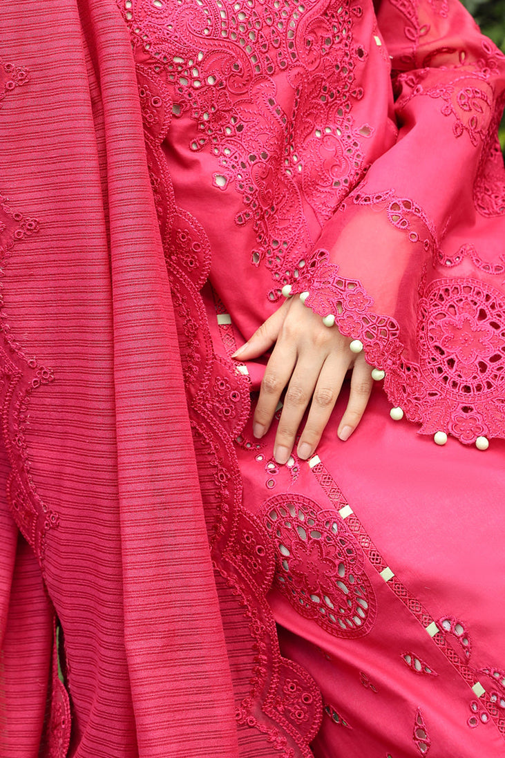 Qalamkar Festive Lawn'24 PS#06