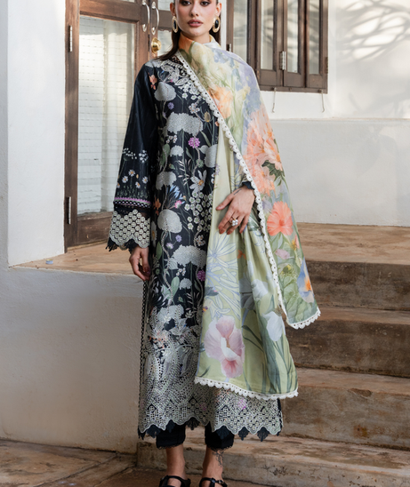 Aabyaan Shezlin C/Kari Lawn`26 AZ#02