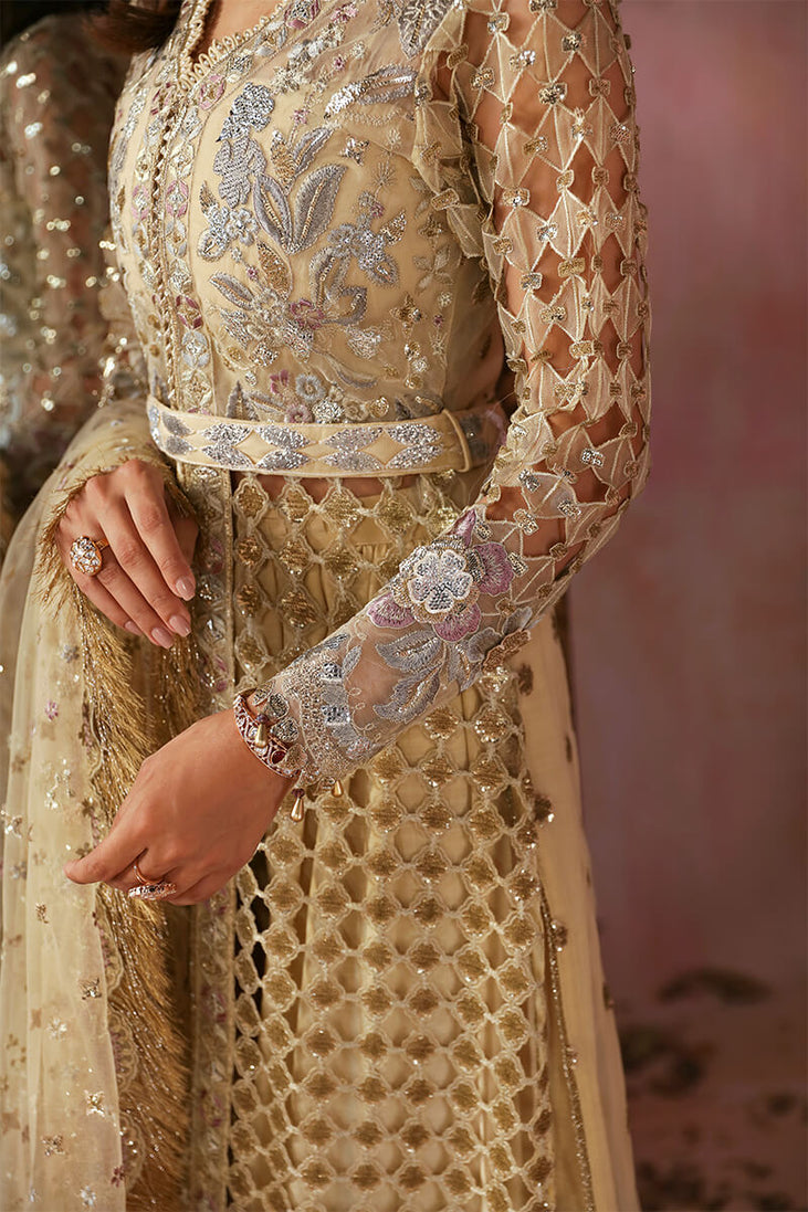 Sardinia Tara Festive`24 D#501