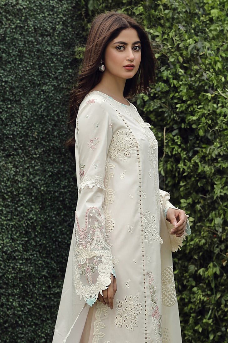 Qalamkar Festive Lawn'24 PS#04