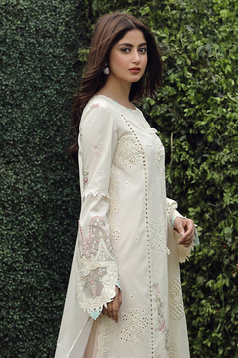 Qalamkar Festive Lawn'24 PS#04