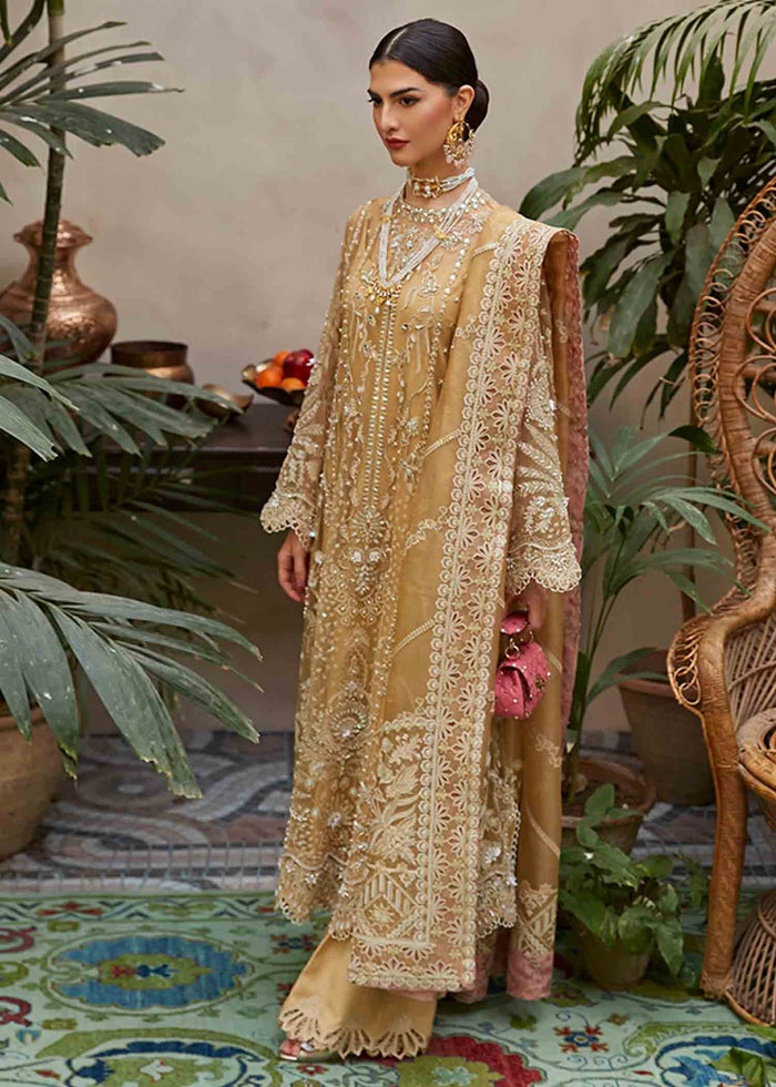 Suffuse Freeshia Festive Collection'22 KIRA