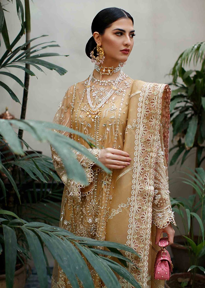 Suffuse Freeshia Festive Collection'22 KIRA