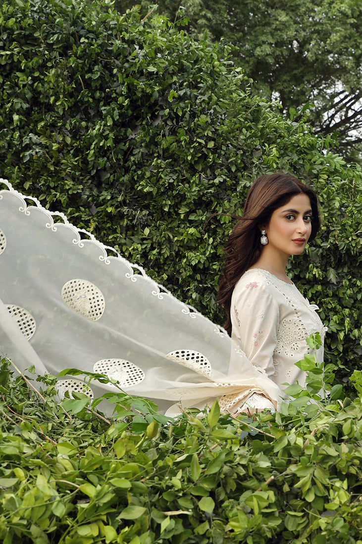Qalamkar Festive Lawn'24 PS#04