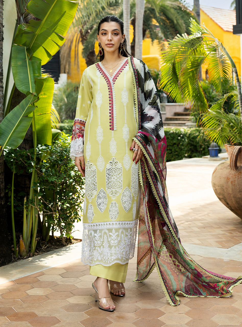 Zainab Chottani Chikankari`25 D#12-A