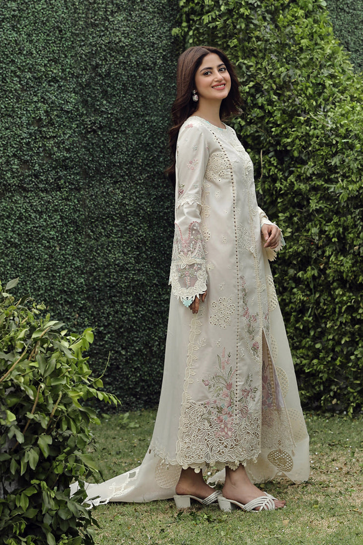 Qalamkar Festive Lawn'24 PS#04
