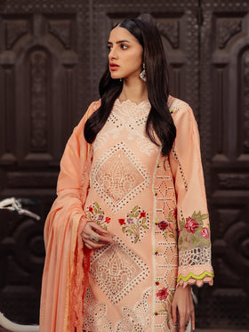 Parishay N/Nazar Premium Lawn'24 D#10