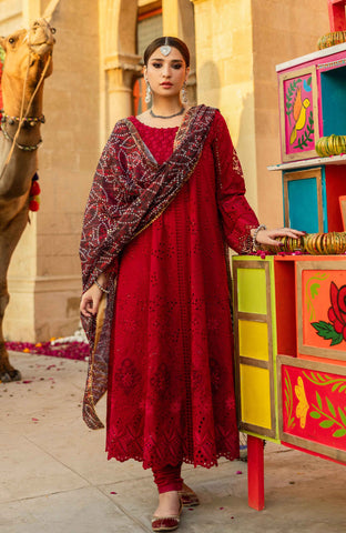 Al-Zohaib BANDHANI C/Kari Lawn`25 D#04