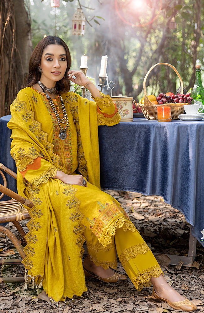 Al-Zohaib Sunshine Bloom`23 D#04