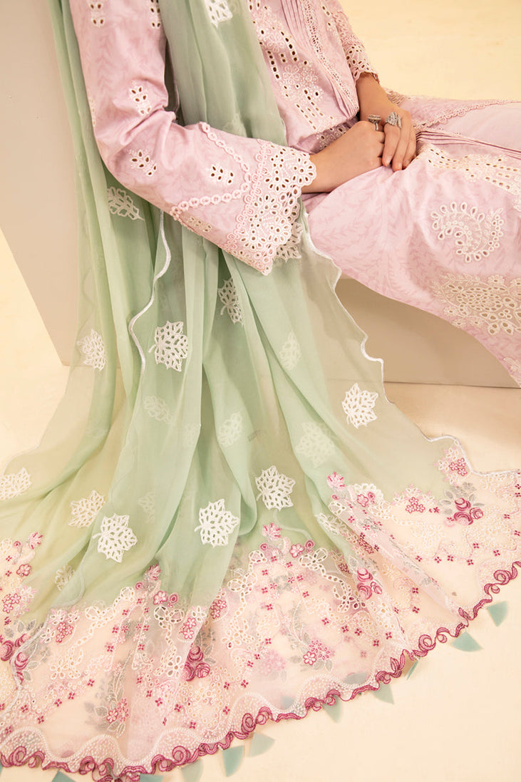 Qalamkar Qlinekari Lawn'24 SQ#02 (ASEMA)