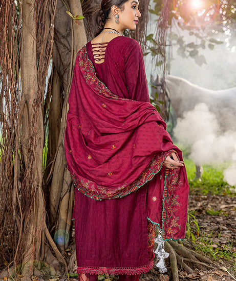 Al-Zohaib Sunshine Bloom`23 D#05